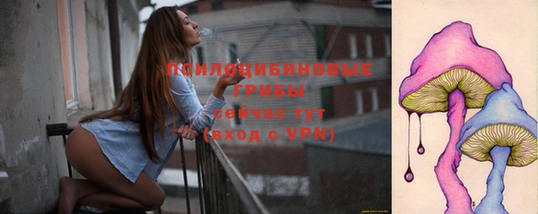 спиды Инта