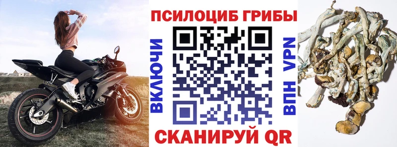 Псилоцибиновые грибы MAGIC MUSHROOMS  Александровск 